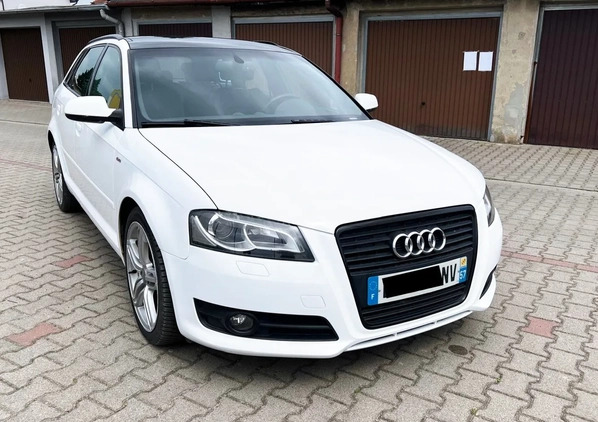 Audi A3 cena 33800 przebieg: 299000, rok produkcji 2010 z Krotoszyn małe 172